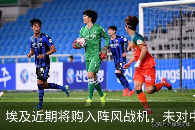 埃及近期将购入阵风战机，未对中方飞机表示兴趣